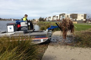 Mobitrac aquatic weed control manoeuvres from land to water