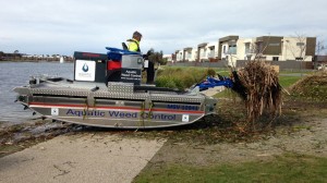 Mechanical removal of waterweeds